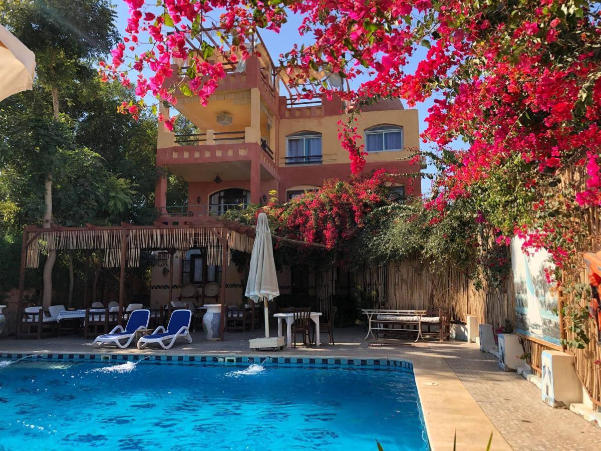 Nile Compound Otel Luksor Dış mekan fotoğraf