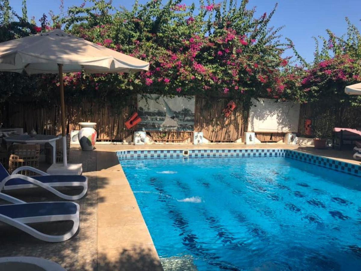 Nile Compound Otel Luksor Dış mekan fotoğraf