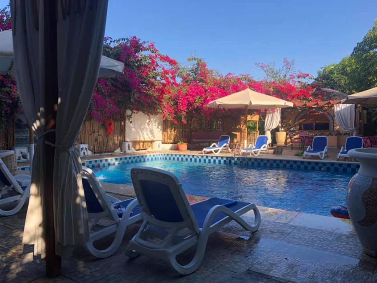 Nile Compound Otel Luksor Dış mekan fotoğraf