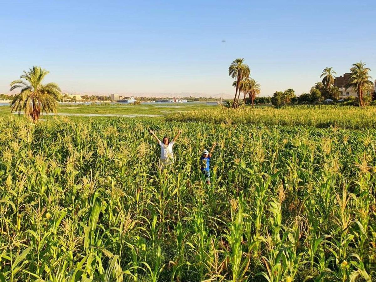 Nile Compound Otel Luksor Dış mekan fotoğraf